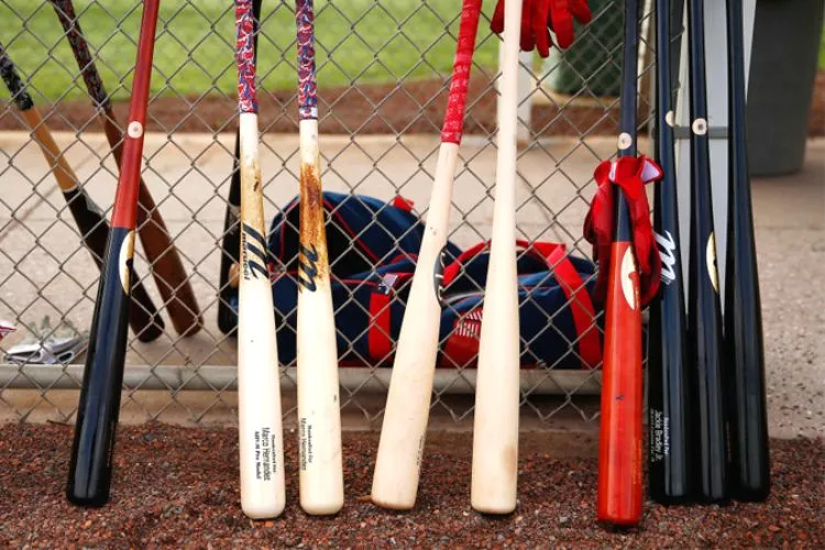 End Loaded vs Balanced Bats: Differences and Similarities