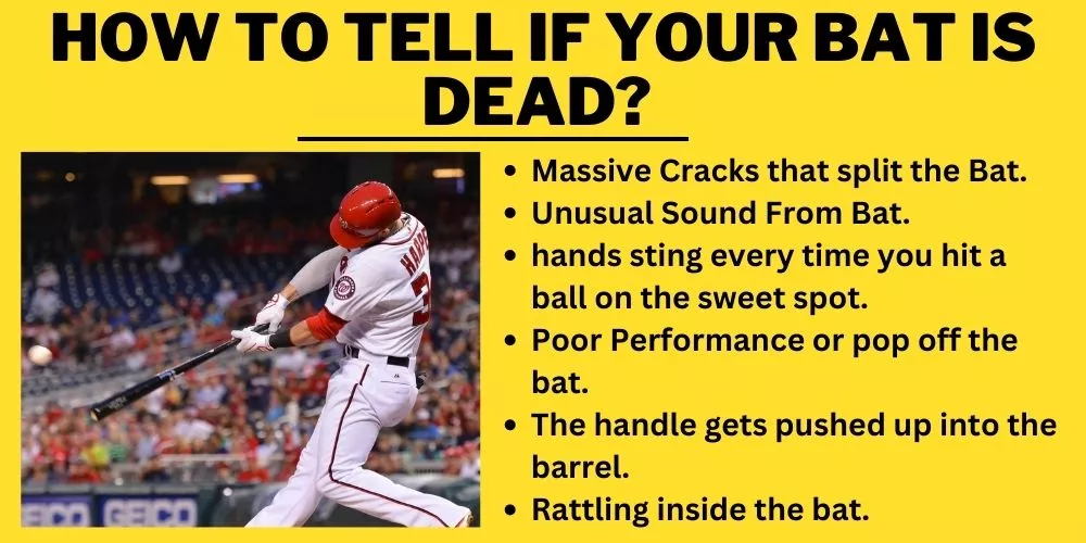 How to tell if your bat is dead